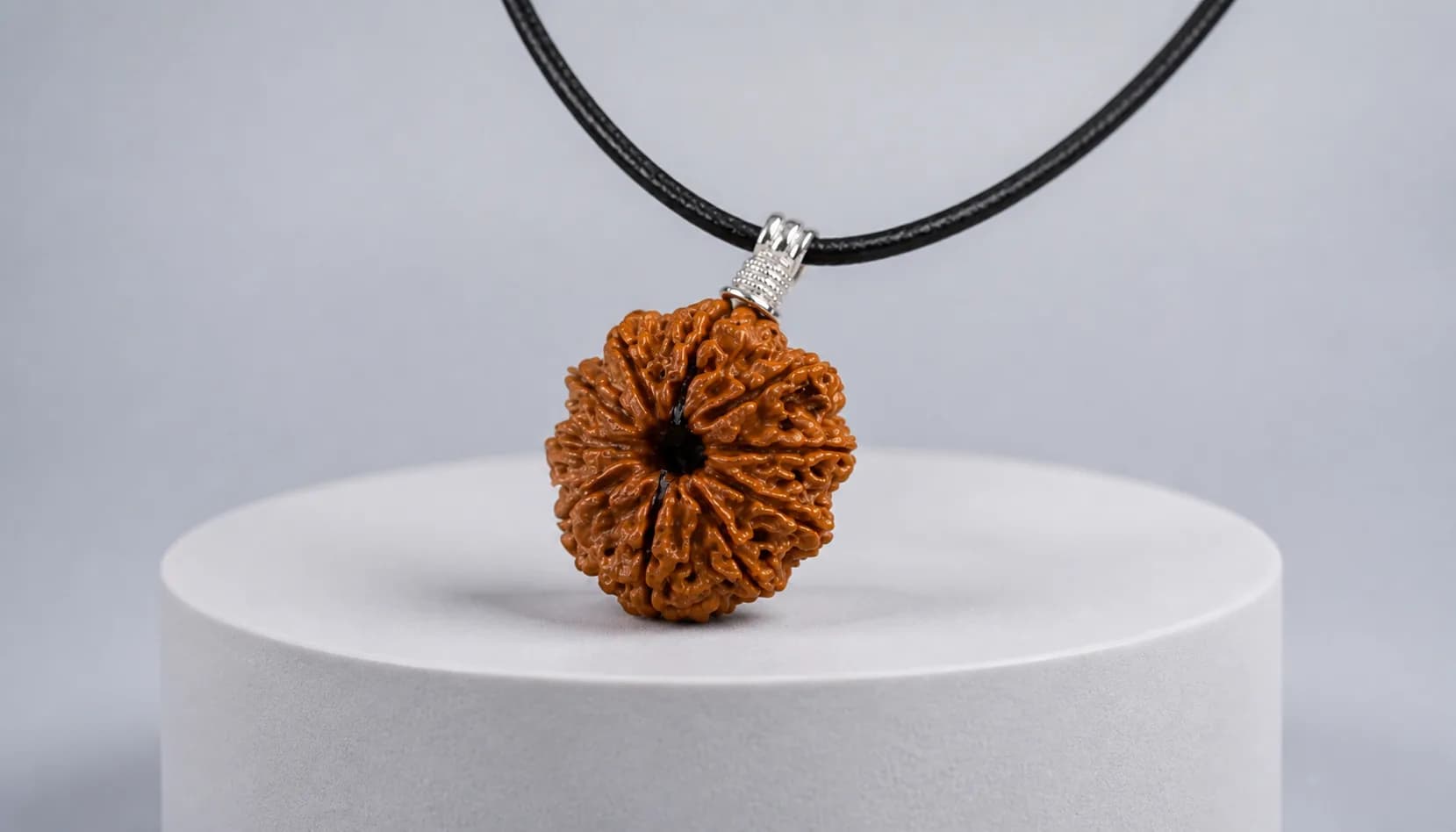A rudraksha pendant on a cord